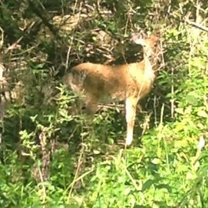 Meet your Posher, Markus